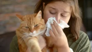 alergias respiratórias