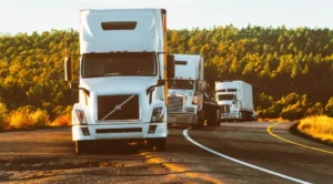 transporte de veículos